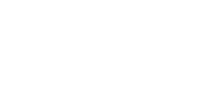 BDSS logo white